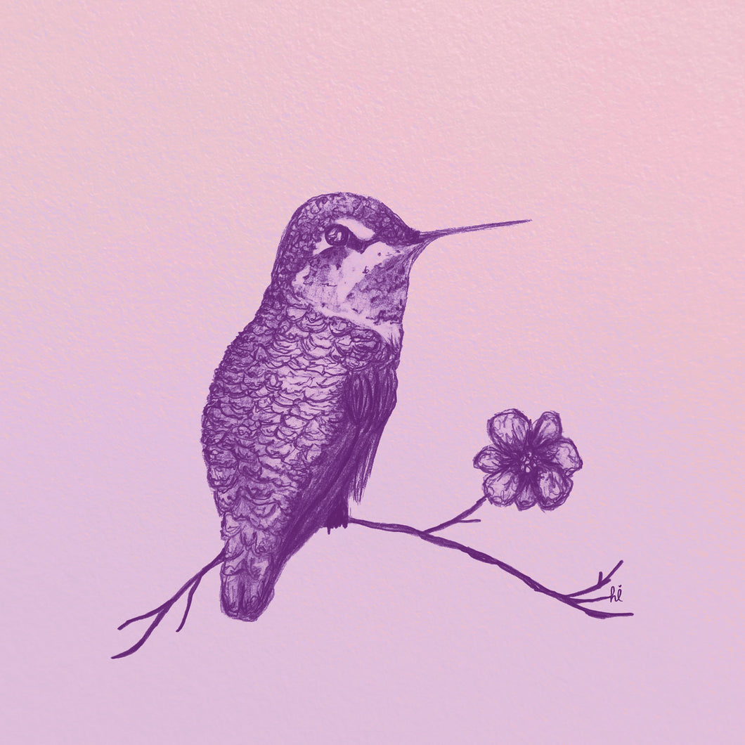 little hummingbird print